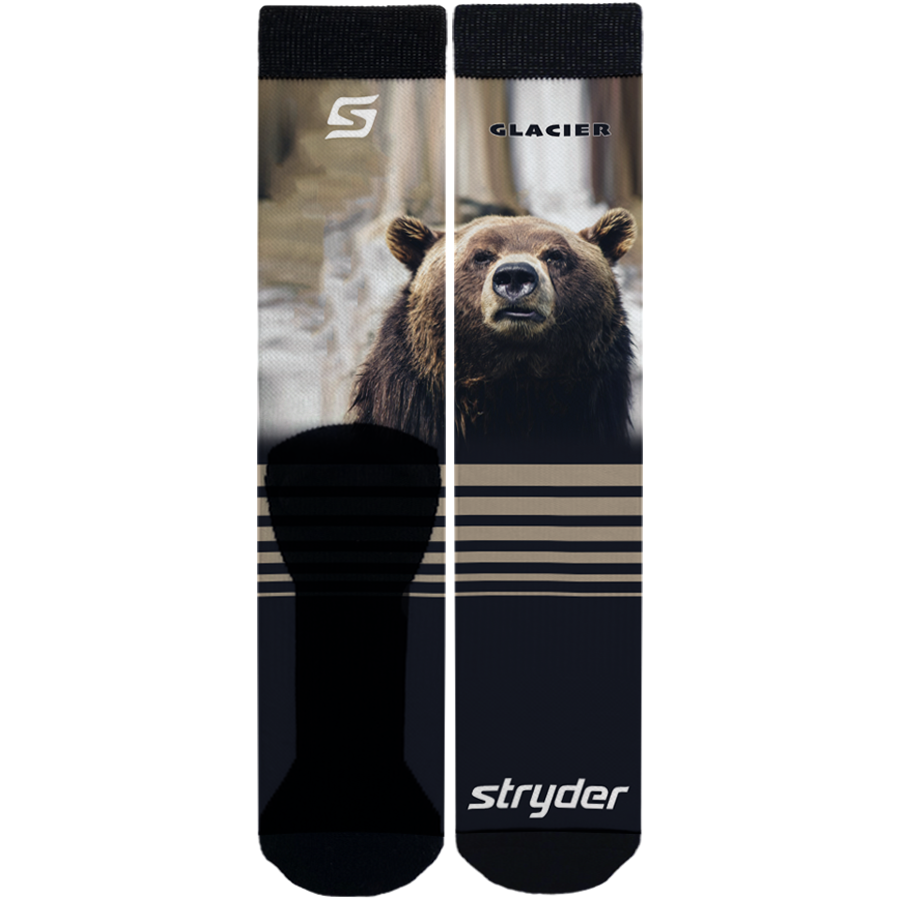 Glacier Bear - Stryder Gear