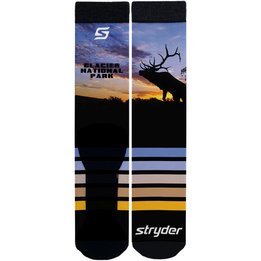 Glacier Elk Sunset - Stryder Gear