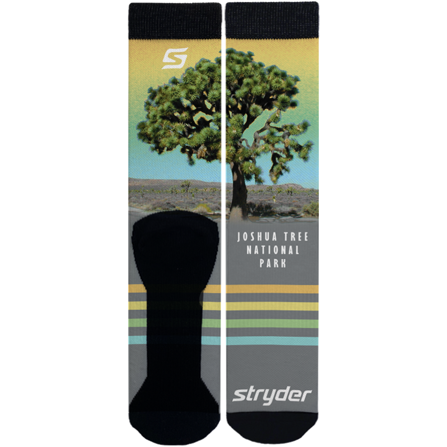 Joshua Tree Multicolor Sky - Stryder Gear